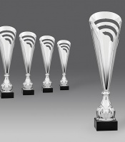 puchary, puchar 8455/2