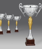 puchary, puchar 2335/5