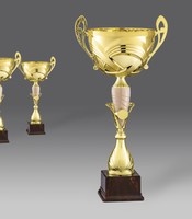 puchary, puchar 3323/3