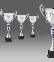 puchary, puchar 4309/2