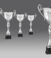 puchary, puchar 4311/2