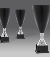 puchary, puchar 4323/2