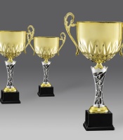 puchary, puchar 4334/1