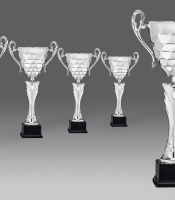 puchary, puchar 5322/5